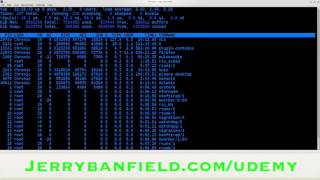 Complete Free Hacking Course Go from Beginner to Expert Hacker Today!