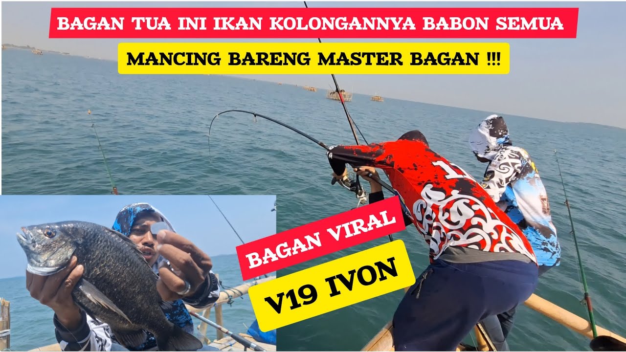 BAGAN PERTAMINA SPOT BARAT PANEN STRIKE IKAN INI !!! IKAN PATIK ATAU OKEK BABON