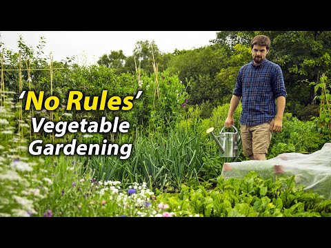 Wideo: Dziki ogród i warzywa fabuła: Jak mieć warzywa i dziką przyrodę