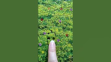 Oddly Satisfying | The Last Pieces of The Jigsaw Puzzle