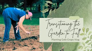 Transitioning to Fall: Garden Clean-Up and Planting New Veggies! by Freedom Homestead 1,904 views 7 months ago 19 minutes