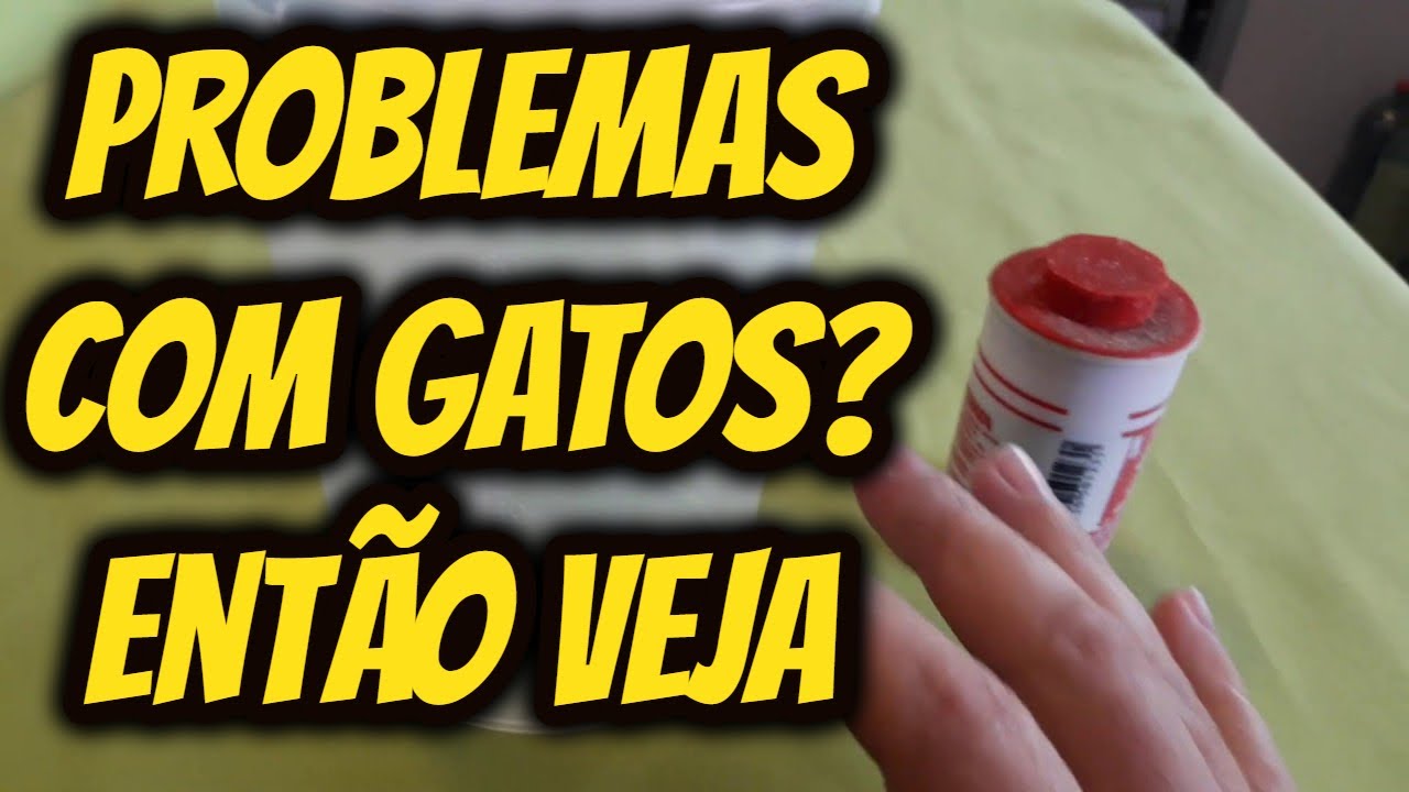 Dica repelente de como espantar afastar tocar gatos dos vizinhos de ...