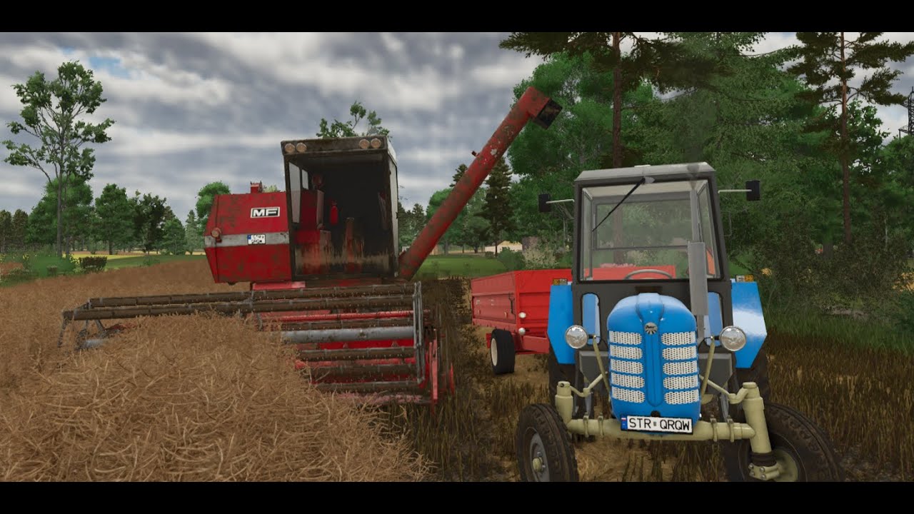 Żniwa rzepaku . oprowadzenie po gospodarstwie