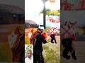 free fire shots viral