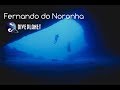 Diving in fernando do noronha with atlantis divers