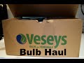 Planting 400 muscari bulbs from veseys seed company