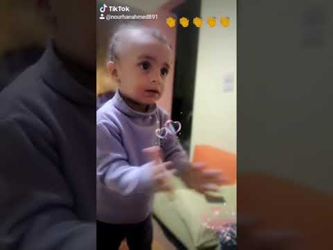 سقف سقف رامي جمال