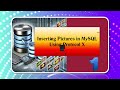 MySQL Importing Picturest