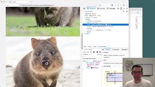 05 Thumbnail gallery in JS