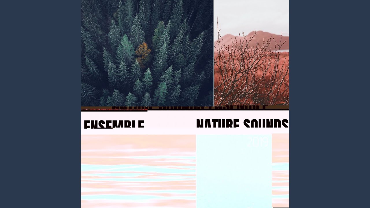 Nature Sounds Ensemble