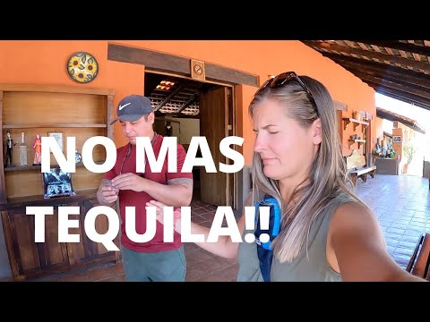 Video: 5 Vigtige Oplevelser At Have I Tequila, Mexico - Matador Network