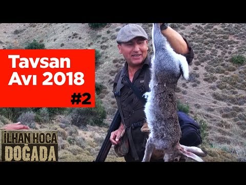 Tavşan Avı 2018  2. Bölüm ilhan Hoca Doğada - Yaban Tv