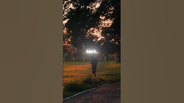 Trust İn The Process