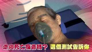 走向死亡痛苦嗎？這個測試告訴你 | 台灣蘋果日報