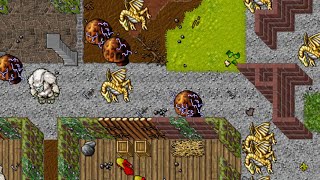 Yalahar: Incan ChamberZzzZzz -  Outcastserver.com [Tibia 7.4 & 7.-  Outcastserver.com Open-Tibia 7.6