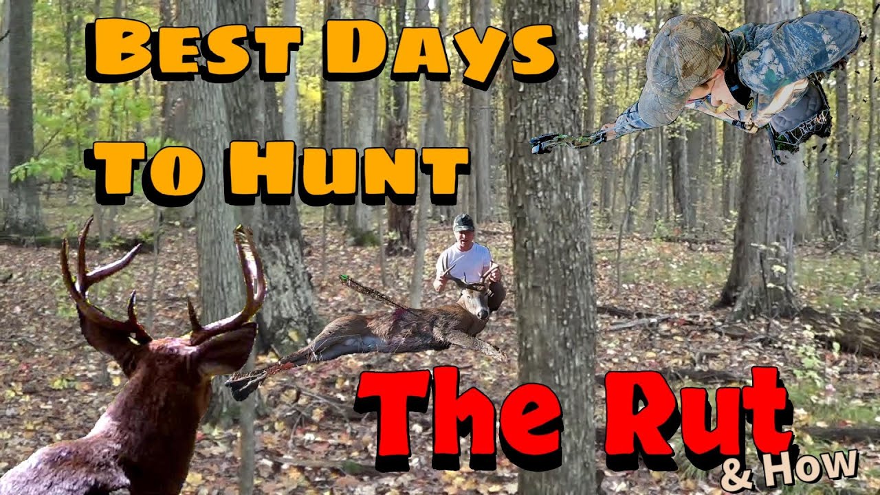 The 2022 Rut & The Best Days To Hunt YouTube