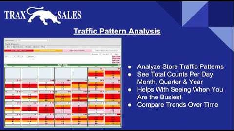 Reports & Analytics - TraxSales Retail Traffic Counter System