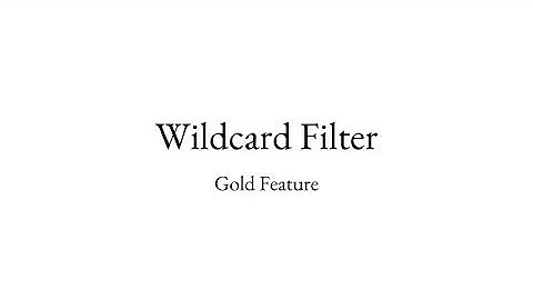 Wildcard Filter