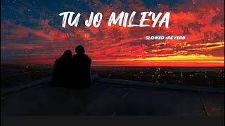 𝙏𝙐 𝙅𝙊 𝙈𝙄𝙇𝙀𝙔𝘼 (SLOWED +REVERB) MixSingh | Shruti Bakshi | New Punjabi Romantic Song 2024