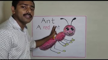 Std 1 English Unit 1 Class 01  White Board ASD mp4