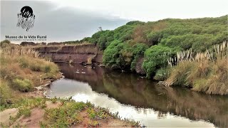 LOS PAGOS DE DIONISIA (radioteatro, 2022)