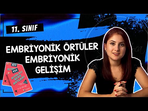 32) EMBRİYONİK ÖRTÜLER VE EMBRİYONİK GELİŞİM | 11. SINIF | AYT BİYOLOJİ DERS NOTLARI 2024