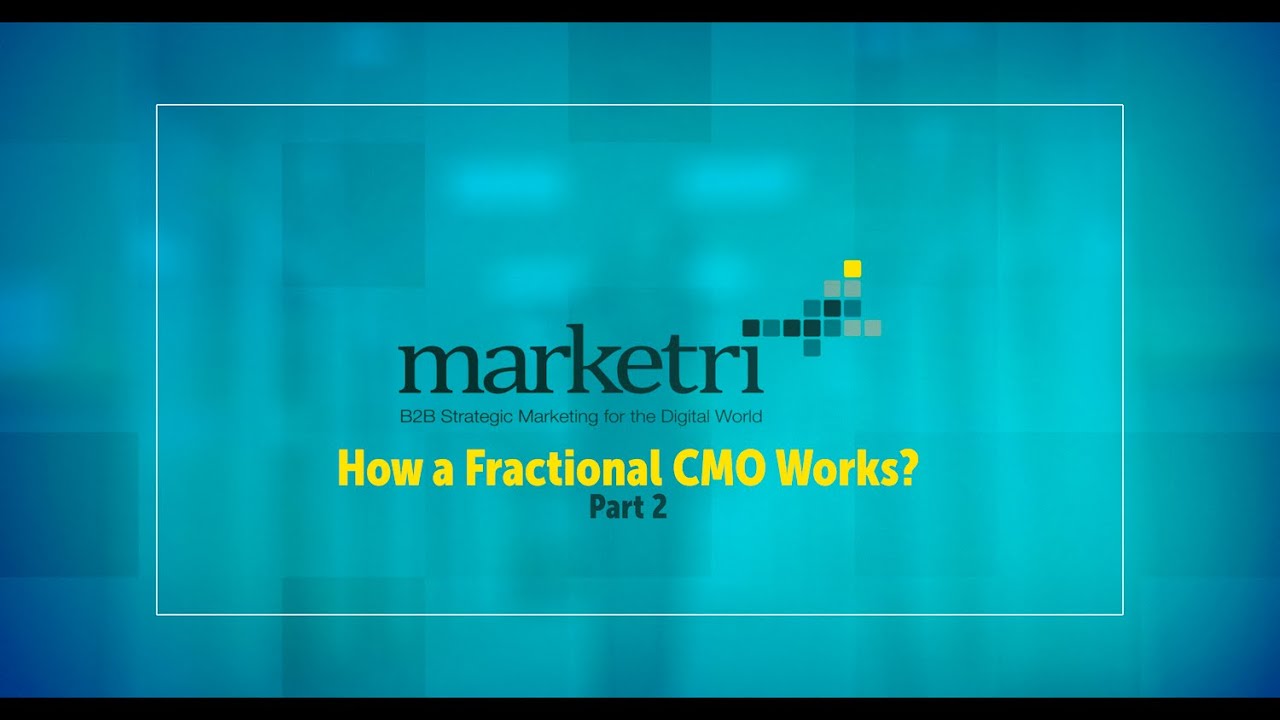 Fractional CMOs for Private Equity Companies