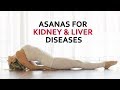 Asanas for Kidney & Liver Disease -Yog Shakti- Shelly Khera