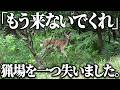 農家さんに「罠を置かないで」と言われました。