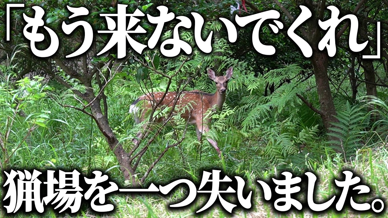 農家さんに「罠を置かないで」と言われました。