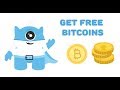 Oh Bitcoin Gambling! – Don't Play Until You Watch This ...