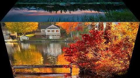 سورة يوسف تلاوة عذبة تفيض جمالا طيب مسامعك💞