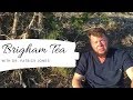 Brigham tea  ephedra explained