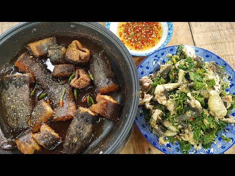Video Ếch Nhà Nuôi , Cá Vớt Trong Vèo Làm Bữa Cơm Quê | Cậu... - youtube