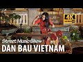 Dan Bau - Vietnamese Musical Instruments and Traditional