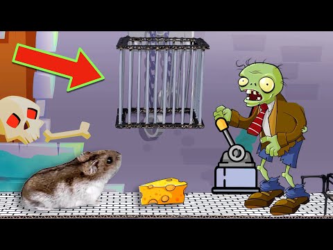 🐹⭐️ EPIC Hamster Maze with Trap 😱[OBSTACLE COURSE]😱 + BONUS