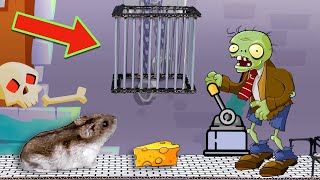⭐ EPIC Hamster Maze with Trap [OBSTACLE COURSE] + BONUS