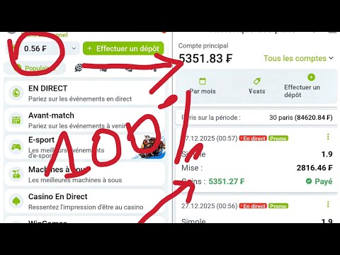 1. Comment Fonctionnent les Points de Fidélité Dudespin ?