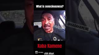 Kaba Kamene - What Is Consciousness?