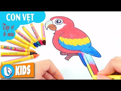 Vẽ Con Vẹt - Vẽ Tranh Tô Màu Cùng Bé | Nhạc Thiếu Nhi Bút Chì Màu