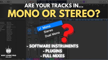 Are Your Tracks in Mono or Stereo? How to Make Sure (All Track Types)