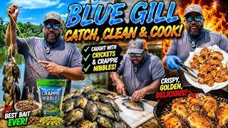🎣 BLUEGILL CATCH,CLEAN & COOK ! / BIG BLUEGILL CAUGHT ON  CRICKETS & CRAPPIE NIBBLES !