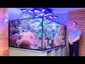 German reef tanks  nature reef  3000 liter  790 gallon coral aquascape  saltwater aquarium