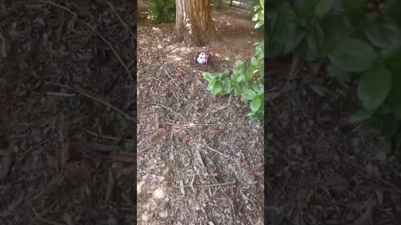 All Terrain RC Car Review