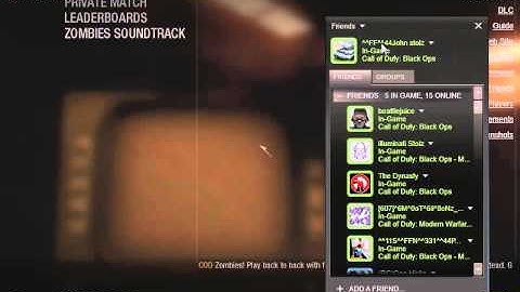 how to get your name to flash on black ops zombies