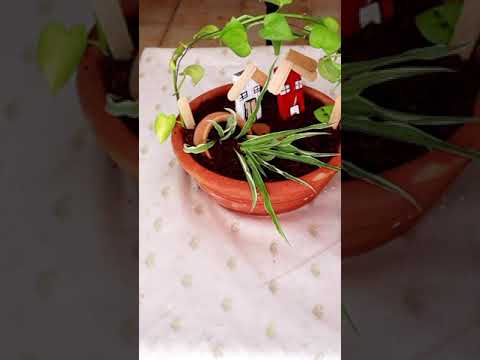 DIY miniature garden/Fairy garden making/Tray gardening ideas#shorts #miniaturegarden #gardendecor