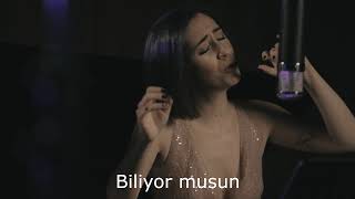 Turgay Erdener ~ Yerçekimli Karanfil - Fazıl Say, piyano - Senem Demircioğlu, mezzosoprano Resimi