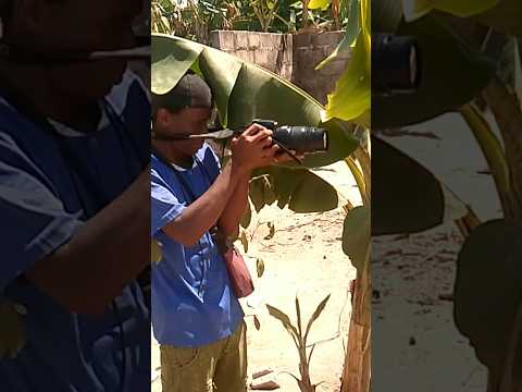 PETE YANGU COOMING SOON Tunaomba Palma Tanibi