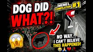 Funniest Memes on the Internet 😂 | Meme Compilation #1