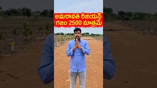 Sq Yard Only 2500 in Konayapalem near Nandigama #amaravatiregion #investmentplots #plots #nandigama